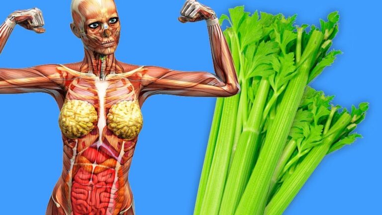 Questo semplice gesto con il sedano trasforma la tua salute… scopri come!