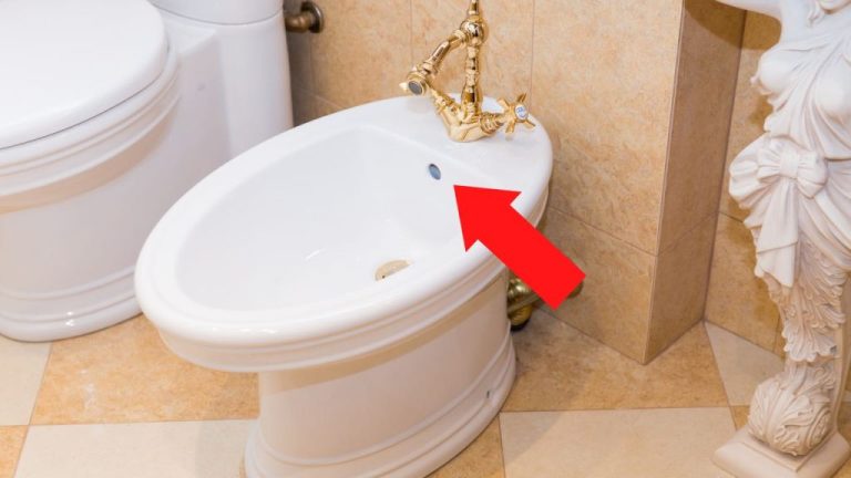 Il segreto del bidet: a cosa serve il secondo foro? Scoprilo ora!