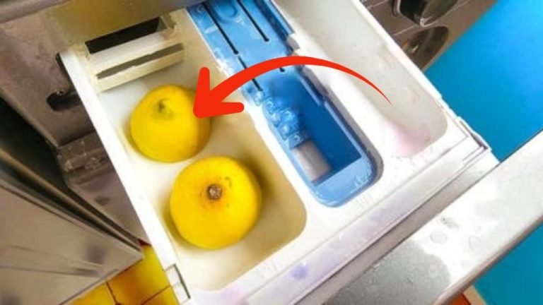 Il trucco per un bucato brillante? Aggiungi due limoni nella lavatrice!