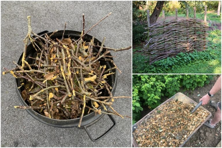 7 Modi Inaspettati per Utilizzare i Ritagli degli Alberi da Frutto