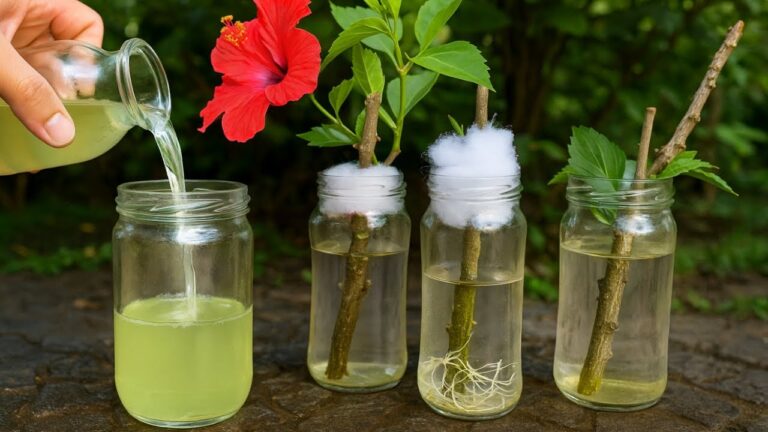 Entra nel mondo delle piante: 5 tecniche per radicare rami in acqua attiva!
