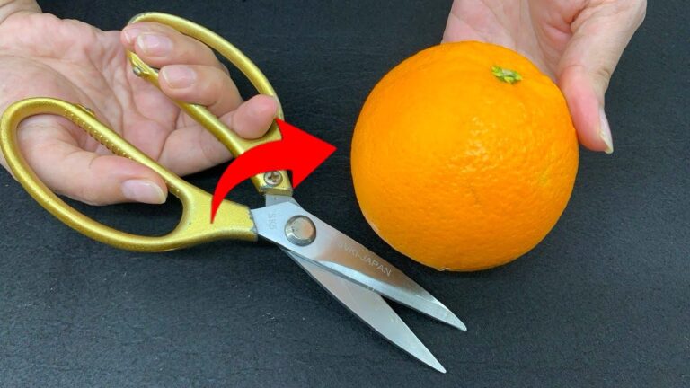 Scopri 3 trucchi per pelare un’arancia con le forbici facilmente!