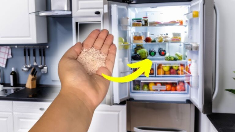 10 trucchi semplici per un frigo senza cattivi odori! Scopri il segreto del sale!