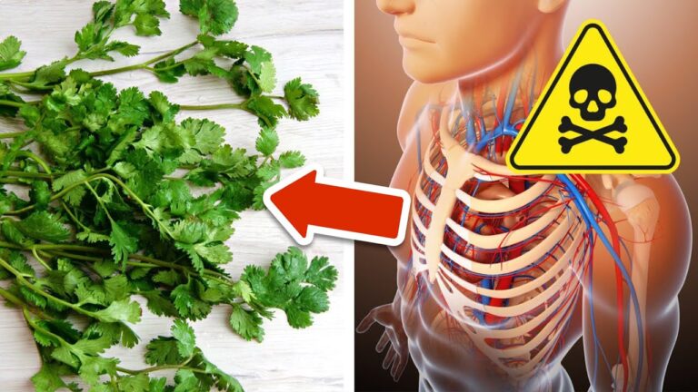 Scopri 5 erbe che purificano il corpo dai metalli pesanti!